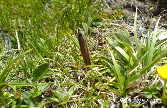 1552638287626973.png 8.png