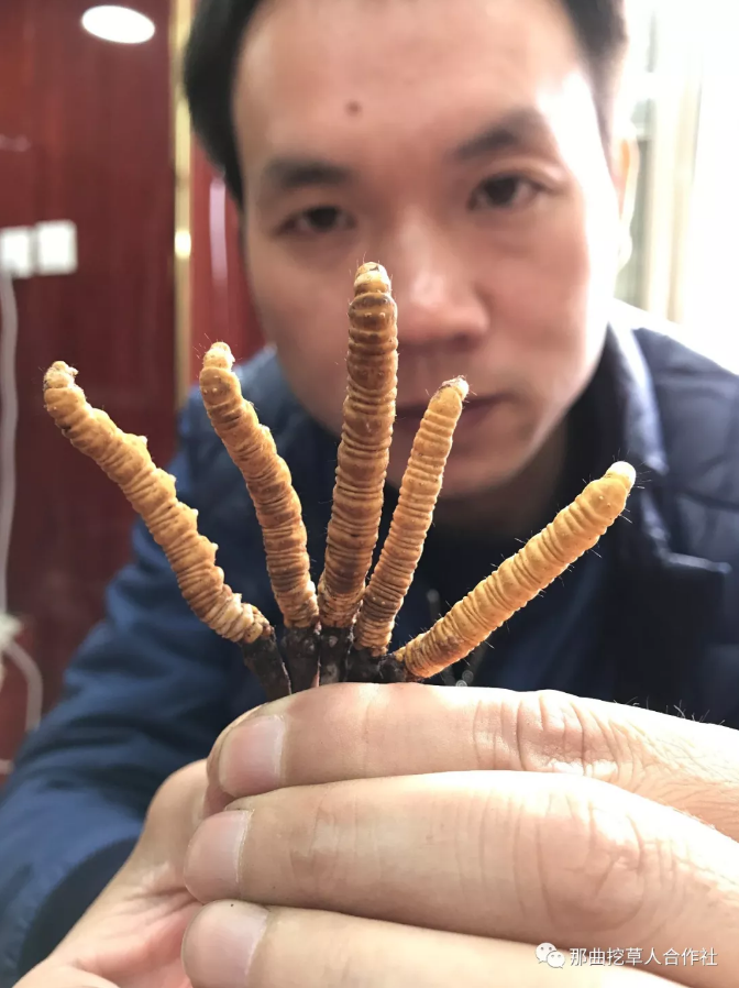 1552638846351397.png 3.png