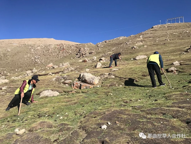 1552638900108259.png 10.png