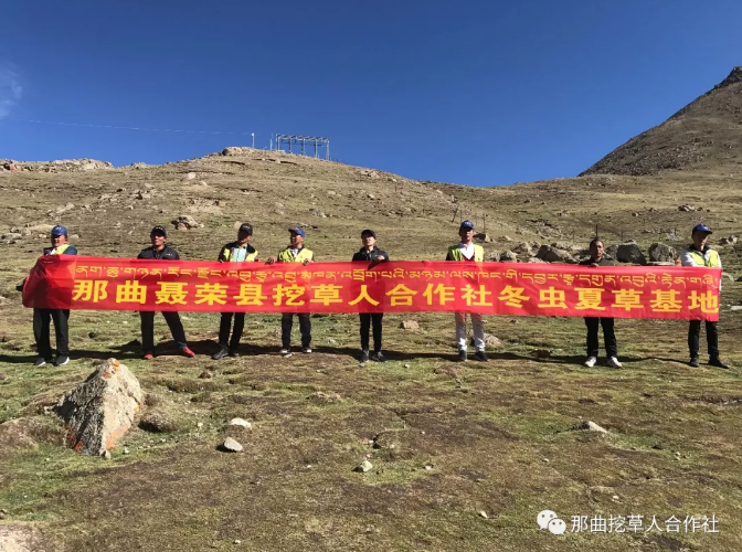 1552638924129912.png 13.png