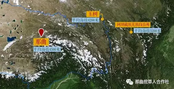 1552640849131272.png 1.png