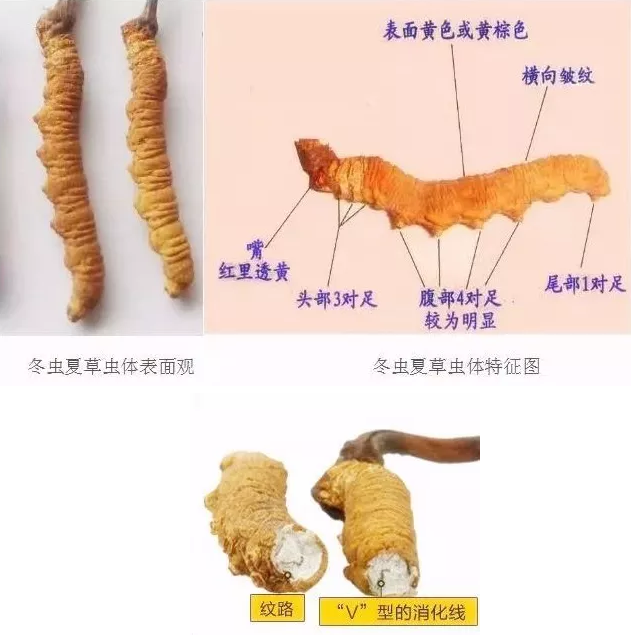 1552640864135502.png 3.png