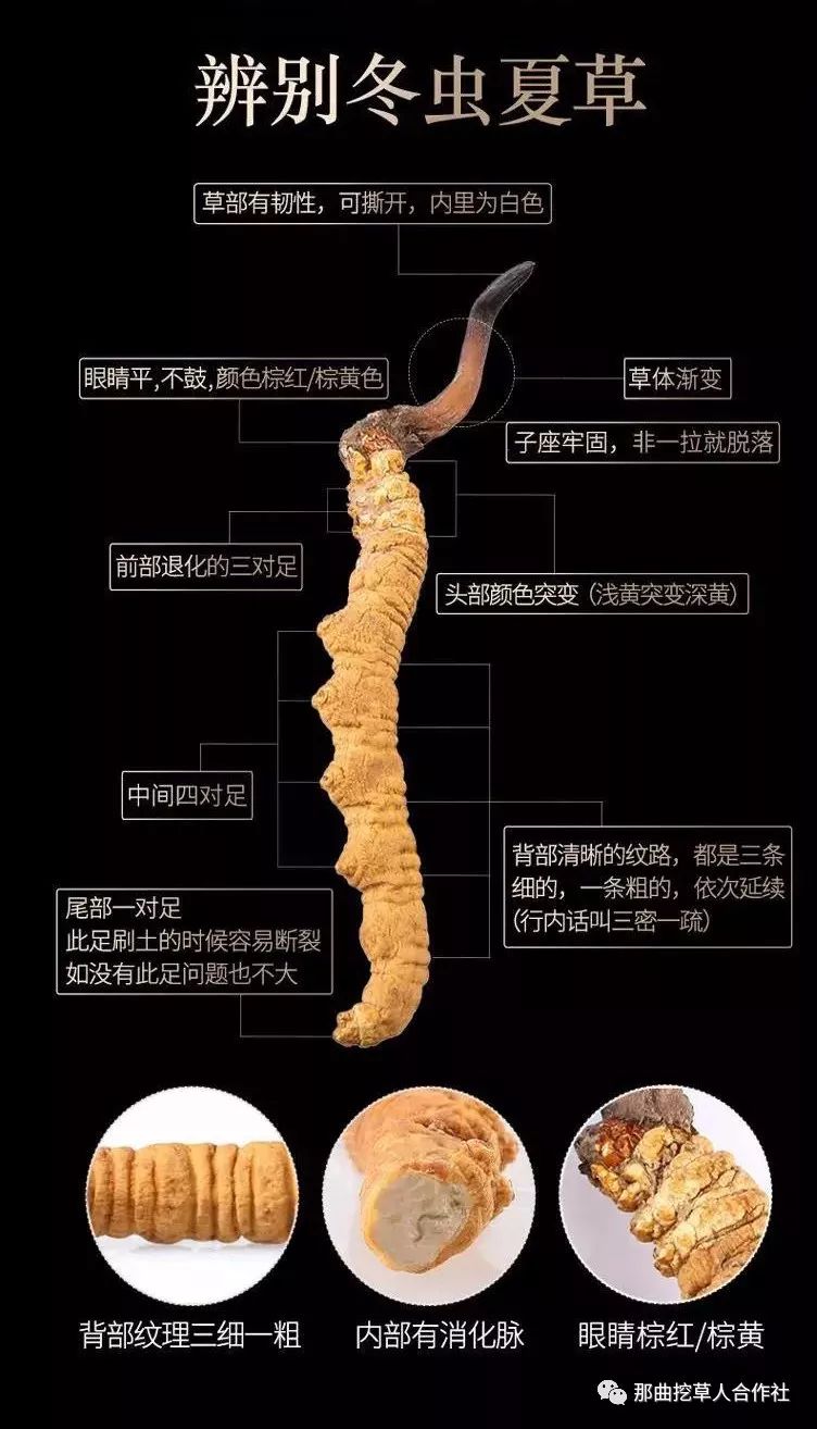 1552640879305912.jpg 5.jpg