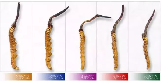 1552640890128135.png 6.png