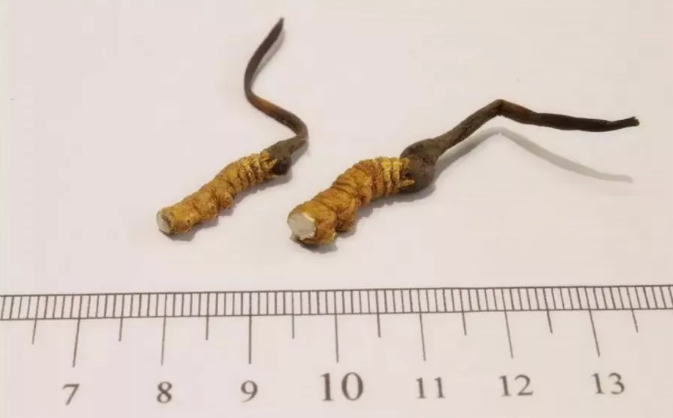 1552640895609243.png 7.png