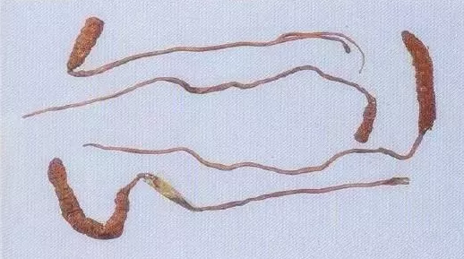 1552640946540479.png 14.png