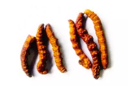 1552640953730550.png 15.png