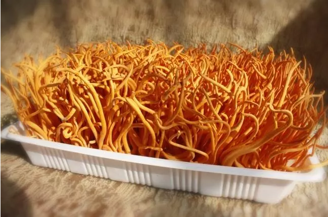 1552640975274456.png 18.png